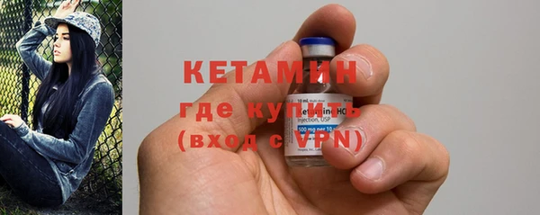 индика Костерёво