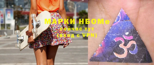 индика Костерёво