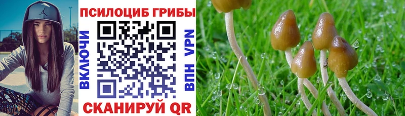 гидра tor  Александровск  Псилоцибиновые грибы Magic Shrooms 